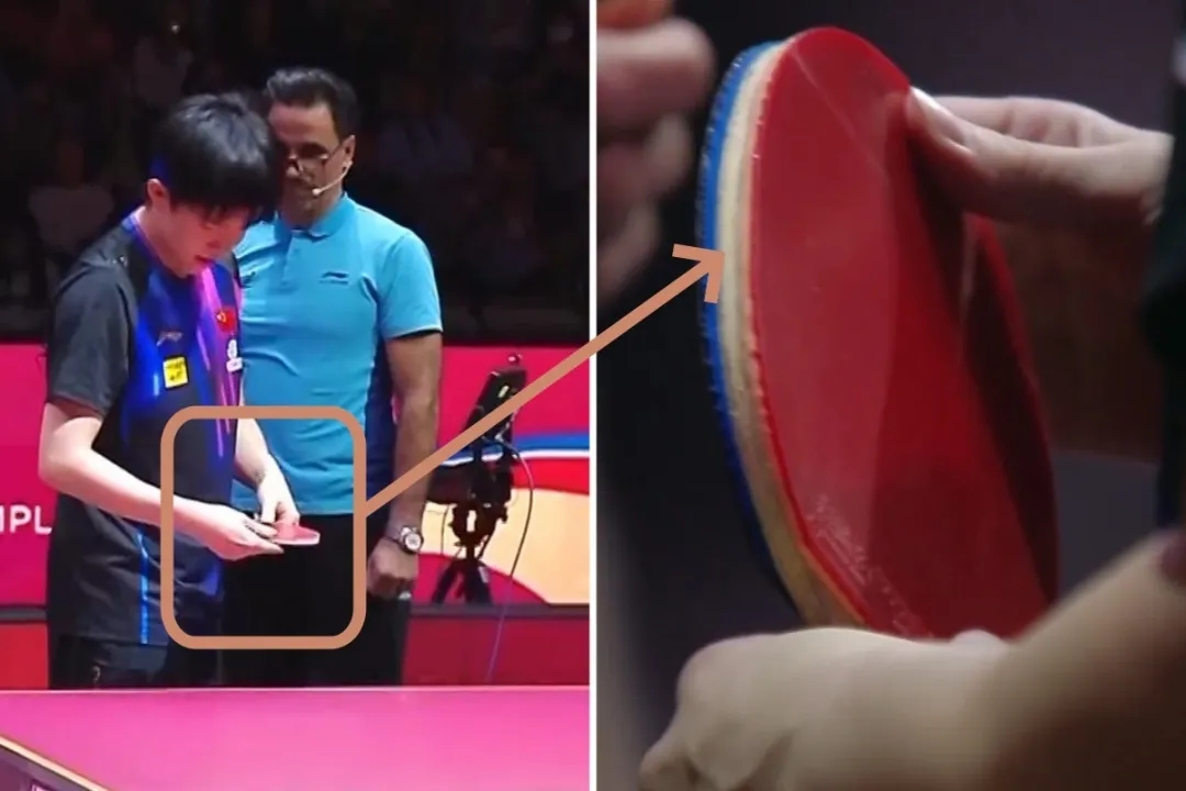 png电子官网程靖淇谈王楚钦球拍受损：主裁应首先被调查，该给王楚钦一个道歉